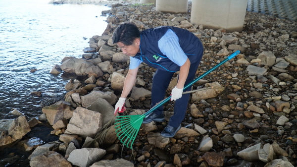 장마철 집중호우로 인한 발생한 갑천 둔치 부유물 및 쓰레기 수거 모습