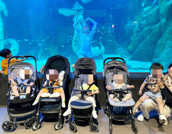 지난 28일 특수교육지원센터 내 영아교육지원실 소속 영아를 대상으로 현장체험학습 실시