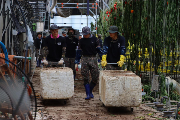 육군_32사단_장병들이 부여군 세도면 일대 비닐하우스를 정리하고있다.
