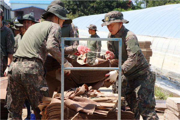 육군32사단 장병들이 논산시 성동면 일대의 육모장에서 정리를 하고 있다.