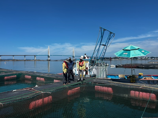 가두리 양식장 점검