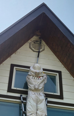 금산 의용소방대 생활안전구조대 활동모습