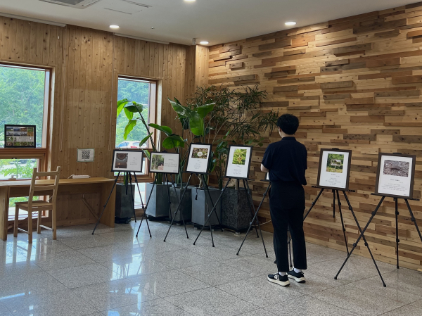 8일 경북 영주시 국립산림치유원 방문자안내센터에서 한 참가자가 「숲, 디카시(詩)」 수상작들을 감상하고 있다.