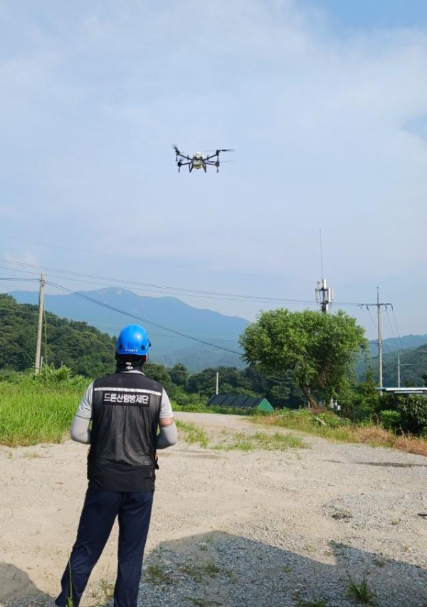 항공방제 약제 살포 모습