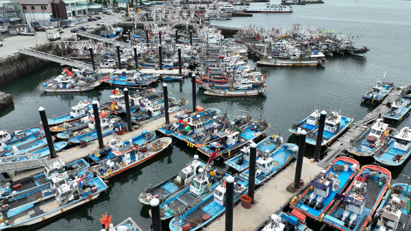 태풍에 대비한 대천항