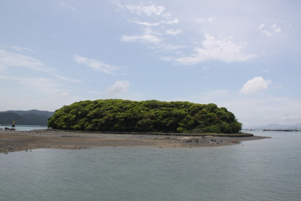 강진 대오도 전경