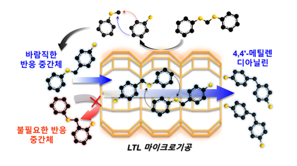 촉매의 반응 메커니즘