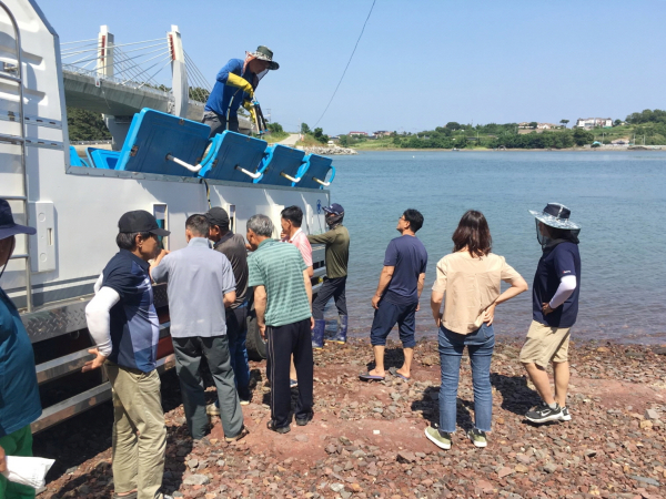 지난 6월 16일 안면읍 황도항에서 대하 치어를 방류하는 모습.