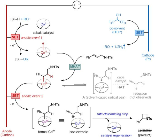 반응 기작에 대한 도식화