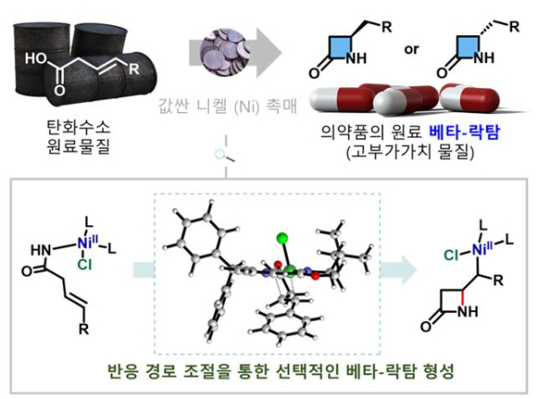 니켈 촉매를 활용한 항생제 원료물질 카이랄 베타-락탐 합성