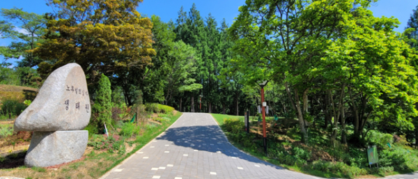 서구 노루벌적십자생태원 전경 사진