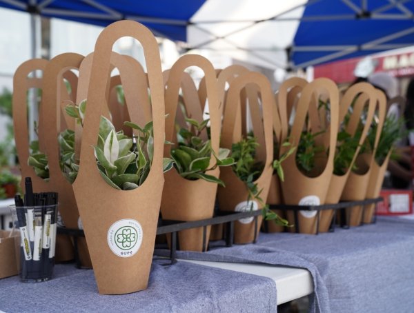 청년 스트레스 기호에 맞는 반려식물/박동혁 기자