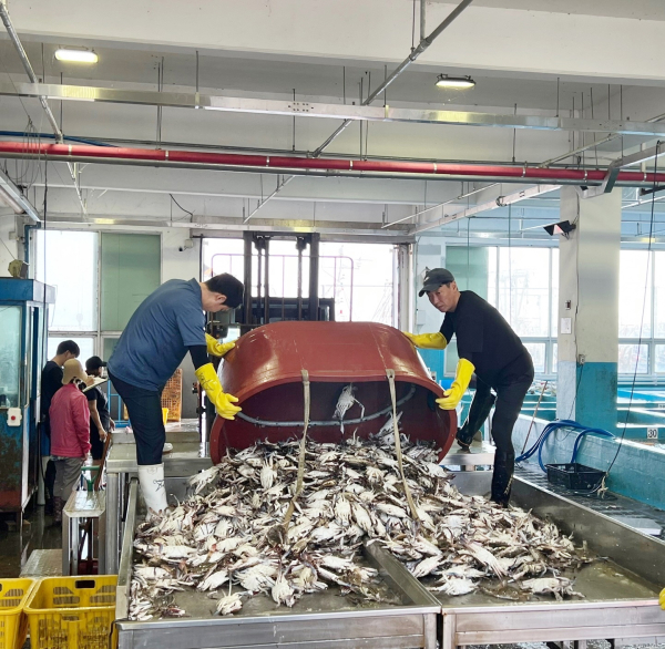 대천서부수협 위판장 사진