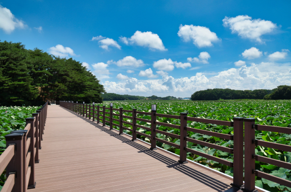 사업 예정지인 안면읍 승언2호 저수지.