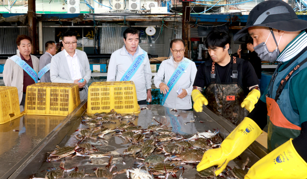 김동일 보령시장 위판장 방문 사진