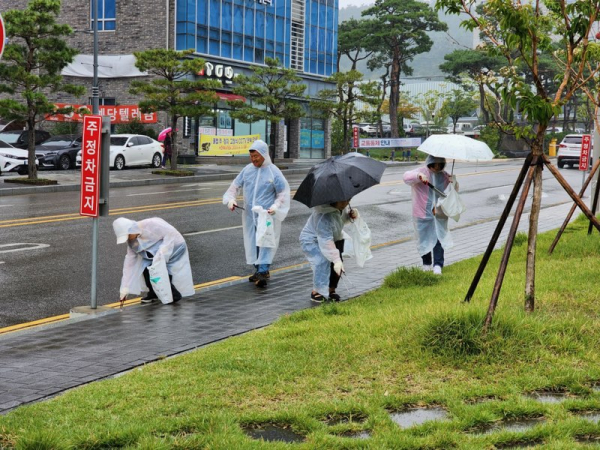 예산군자원봉사센터, 환경정화 활동