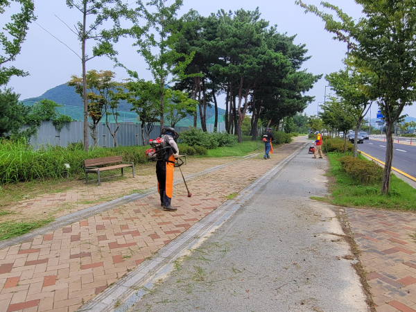 환경정비 예초작업 모습