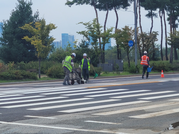 환경정비 포장면 도색 모습