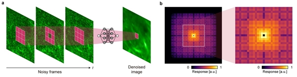 서포트 기술 개념도