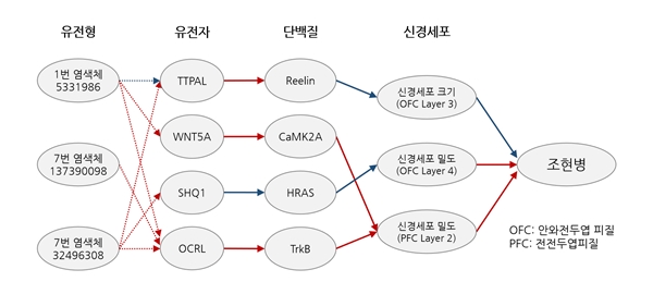조현병 예측 마커와 조현병을 유발하는 원리