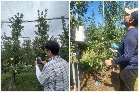 스마트관개시스템 원격 작동 사진, 과수수분스트레스기반스마트관개시스템 점검중