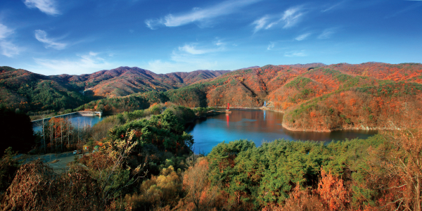 칠갑산 천장호 출렁다리