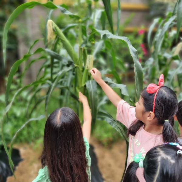 여울초 생태 프로젝트