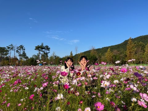 갑천친수구역 꽃단지