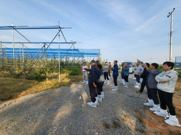 2023년 사과 신기술 보급 사업 평가회 개최 모습