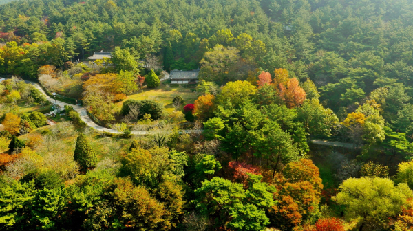 천리포수목원 비밀의 정원 종합원 사진