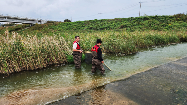 지난 14일 청지천 일원에서 열린 생태계 교란 생물 퇴치 사업 및 환경정화활동 모습