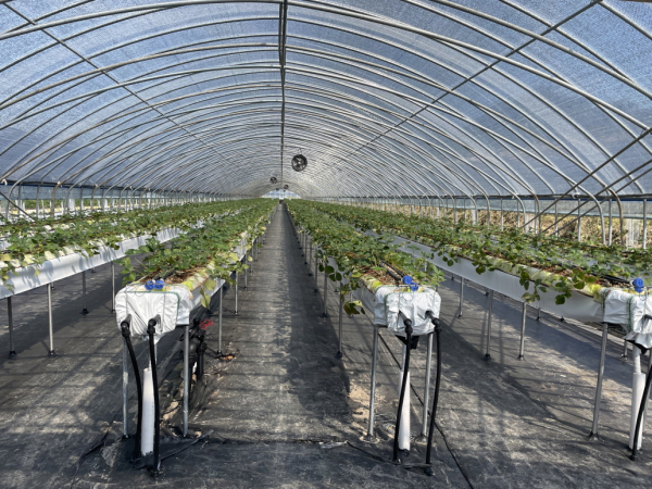 맞춤형 스마트팜 모습