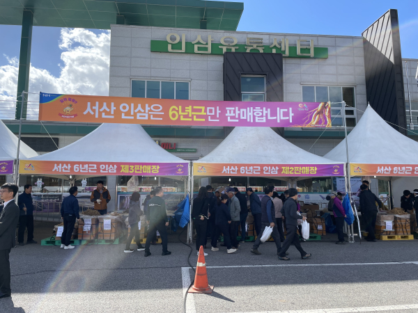 2023년 서산6년근 인삼 직거래행사 사진
