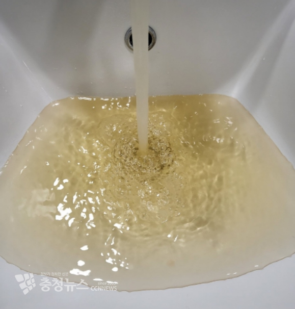 계룡시 민원 소통방에 올라온 수돗물 모습