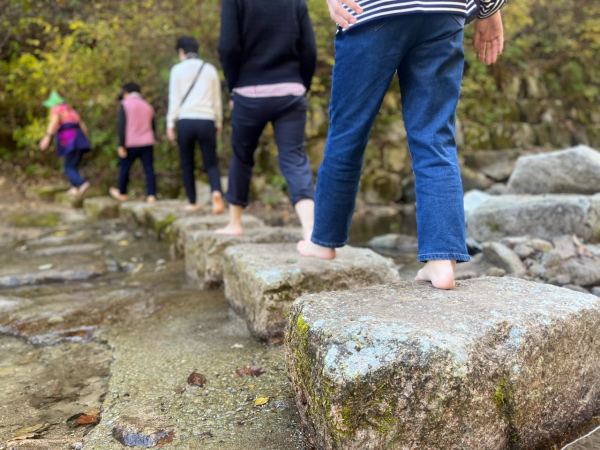 26일 경북 김천시 증산면 국립김천치유의숲에서 열린 수도산 맨발걷기 축제에 참가한 시민들이 맨발걷기를 하고 있다.