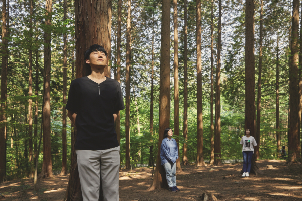 한국산림복지진흥원 산림치유프로그램 대표 사진