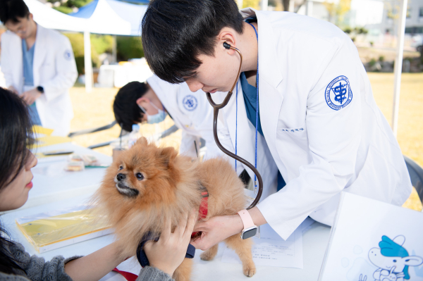 무료 반려동물상담 진행 사진