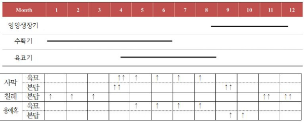 딸기 점박이응애 방제용 천적별 활용시기