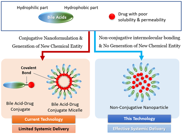연구성과 요약 모식도