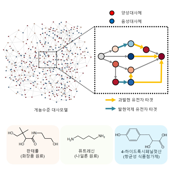 신규 개발된 아이브릿지를 활용한 유용한 화합물의 생산 예시