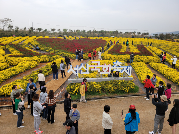지난 3일부터 12일까지 개최된 제24회 서산국화축제 모습