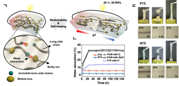 피형, 엔형 고분자 젤의 재료 특성