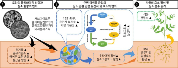 미세플라스틱 노출에 따른 질소 순환 모식도