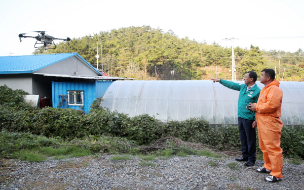 이원면 내리에서 드론을 활용해 축사 소독을 진행하는 모습(23. 10. 25.).
