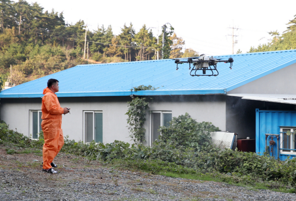 이원면 내리에서 드론을 활용해 축사 소독을 진행하는 모습(23. 10. 25.).