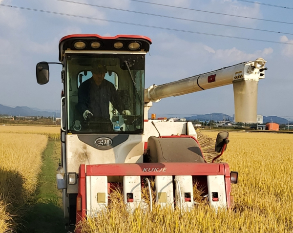 벼 수확 모습. 본문과 관련 없음/국립종자원 충남지원 제공