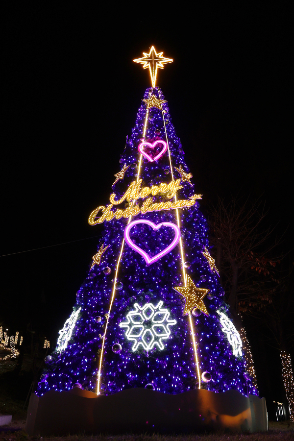 목원대, 첫 성탄목 점등 모습