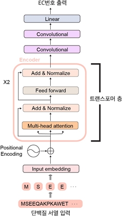 딥 EC 트랜스포머의 인공 신경망 구조