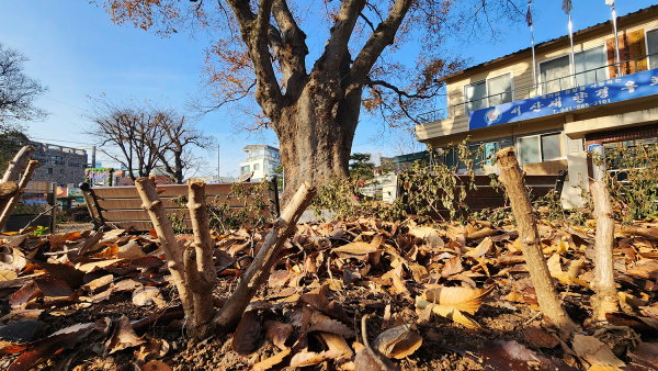 조성이 완료된 양유정 소공원 내 꽃길 조성 사업