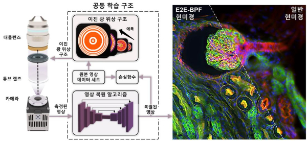 딥러닝 기반 고심도 산술 영상 플랫폼, E2E-BPF 현미경의 원리